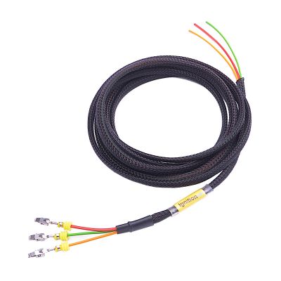 Ignition (1-2) (wire)